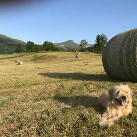 T1 Au Mont-dore Face Aux Thermes, Equipe, 4 Pers. - Fr-1-608-60 Lägenhet *