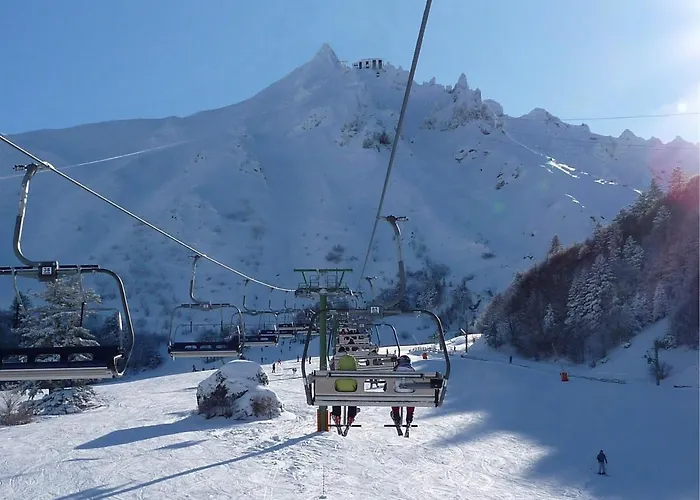 T1 Au Mont-dore Face Aux Thermes, équipé, 4 Pers. - Fr-1-608-60 Apartamento *