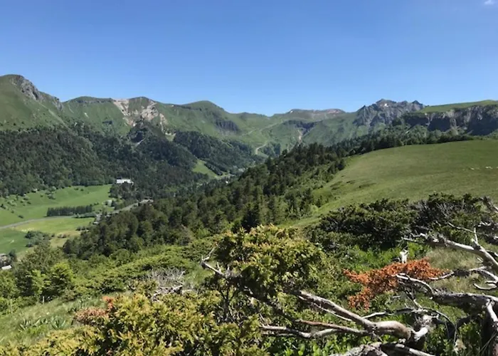 T1 Au Mont-dore Face Aux Thermes, Equipe, 4 Pers. - Fr-1-608-60 شقة لو مونت دوري