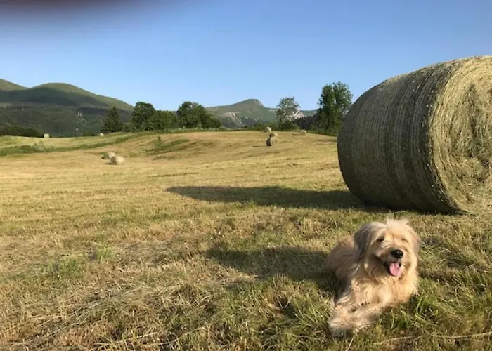 T1 Au Mont-dore Face Aux Thermes, équipé, 4 Pers. - Fr-1-608-60 Apartamento *
